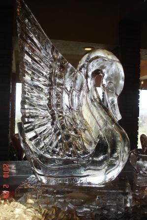 Swan in Ice